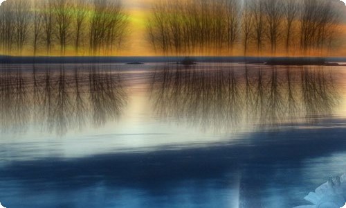 让真情自然流露作文（通用7篇）