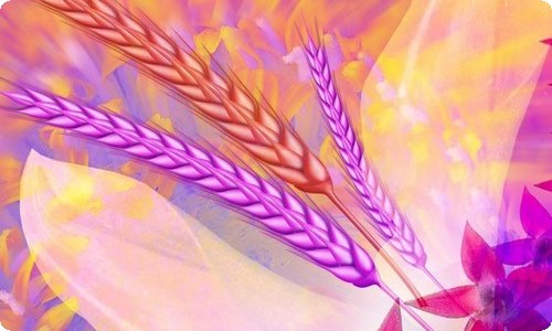 【精品】生日礼物作文300字锦集10篇