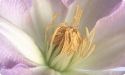 简爱读书心得体会(15篇)