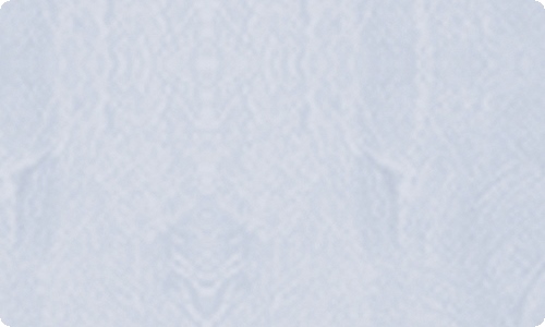 【精华】春游植物作文3篇