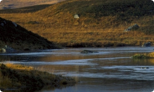 给周老师的一封信(精选15篇)