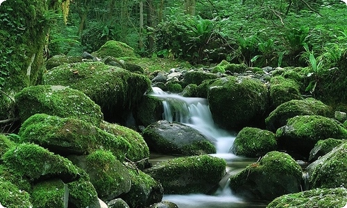 我坚持作文汇编15篇