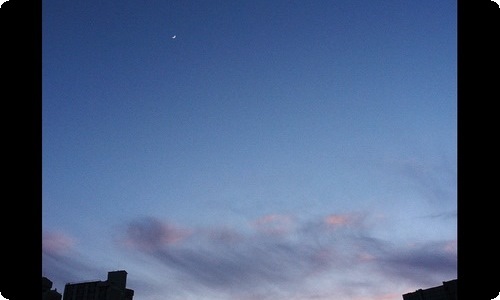 五年级寒假日记【荐】