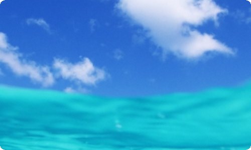 植物小学作文【荐】