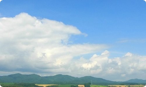 关于动物情感作文集合八篇