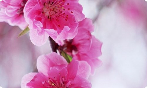 劳动节日记集合15篇