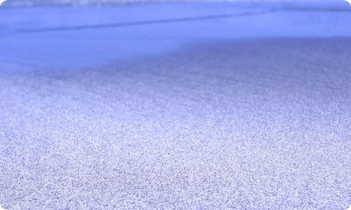 【精选】动物的事作文合集7篇