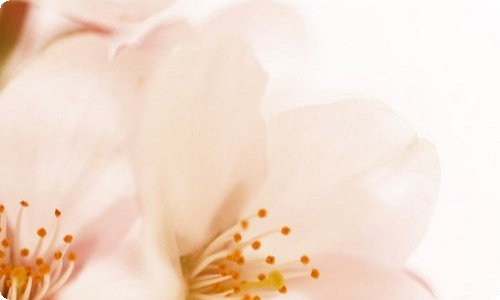 【热门】今天作文600字6篇