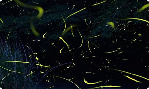 实用的励志作文300字汇编九篇