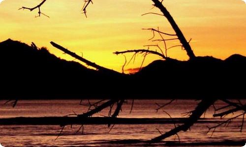 【精华】初一周记5篇