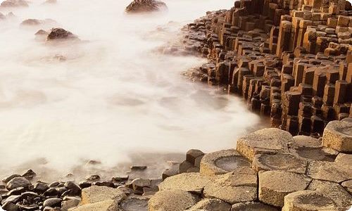 春天的树作文300字3篇