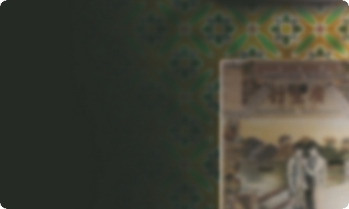 多肉植物作文400字7篇