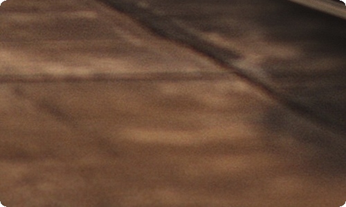 小学生开学日记(15篇)