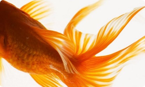 【精选】元宵作文400字4篇