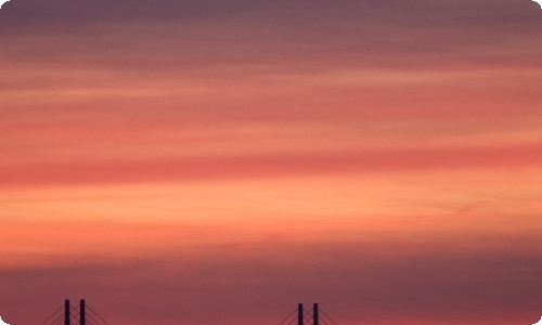 关于顽强的植物作文汇总九篇