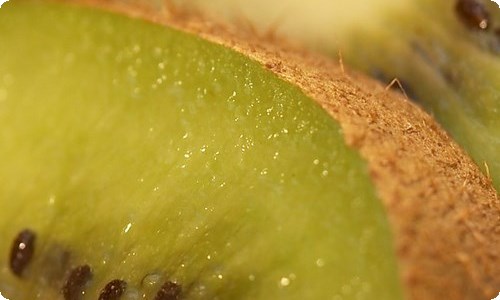 【精选】表演作文400字5篇