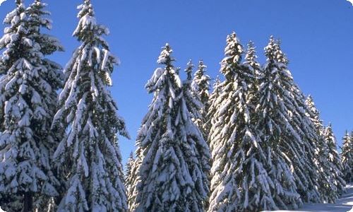 【精华】远方的朋友一封信作文500字汇总6篇