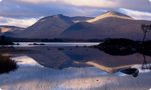 【热门】五年级的作文集合5篇