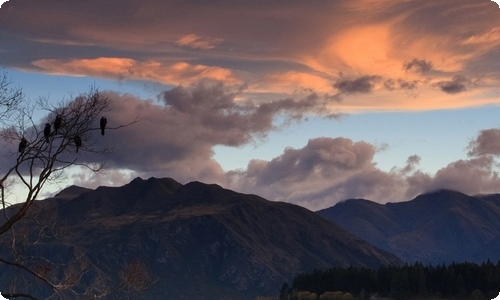 【热门】小学三年级春节作文4篇