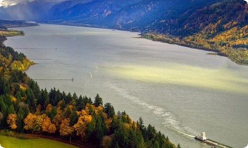 【精选】实验的作文400字四篇