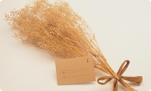 有关平安夜的日记