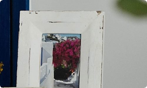 【必备】游记植物作文十篇