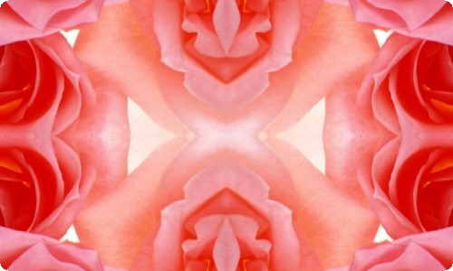 【精选】三年级风筝作文合集7篇