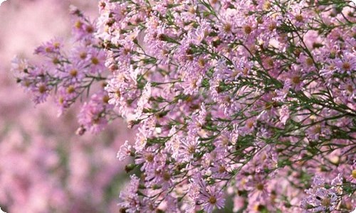 【推荐】快乐一天三年级作文4篇