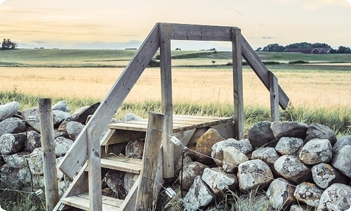 【实用】学生周记范文集锦九篇