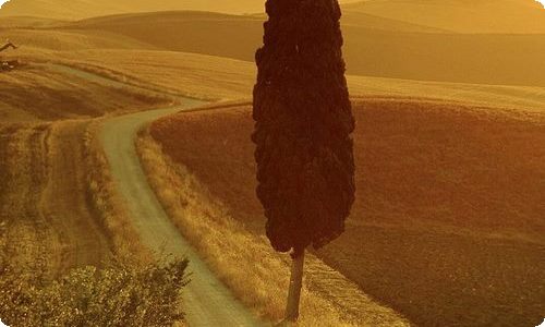 【实用】四年级的老师的作文锦集10篇