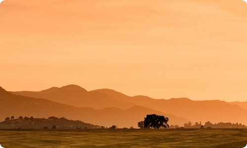 【实用】语文周记模板汇总6篇