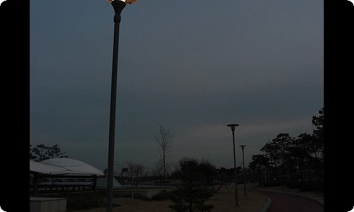 精选喜欢植物的作文300字4篇