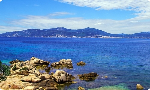 实用的中学生周记范文锦集七篇