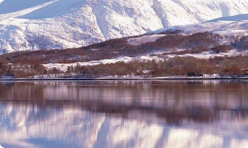 读傅雷家书有感范文(15篇)