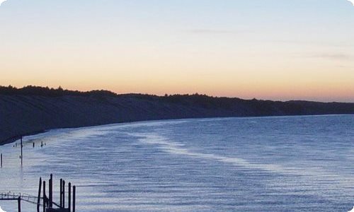 【精选】四年级周记5篇