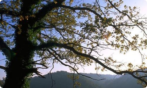 儿童节作文【荐】